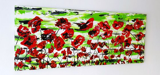 Red Poppies