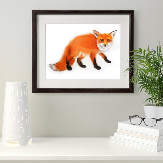 Wary Fox - Red Fox - Fox Watercolor - Fiery Foxes - Fiery Fox