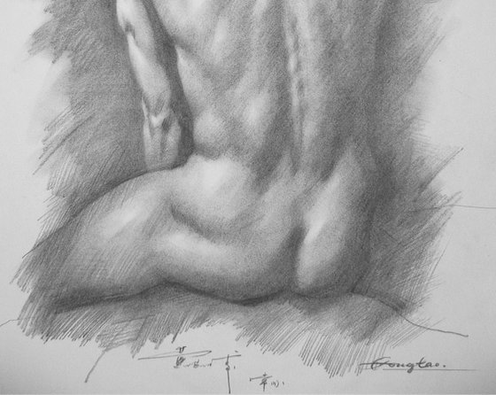 Drawing pencil male nude back #17330