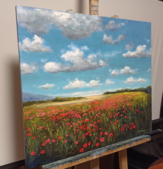Poppies near the sea