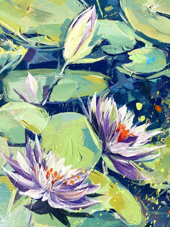Flowering Water Lilies 3