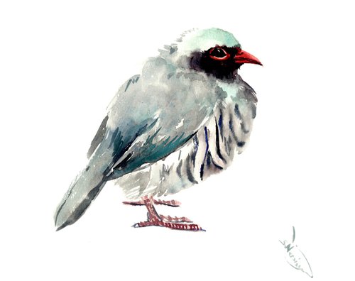 Rock partridge, Bird painting by Suren Nersisyan