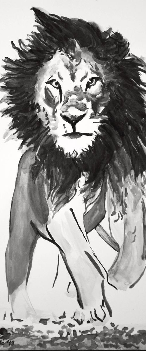 Lion / 36.5 x 25.5 cm by Alexandra Djokic