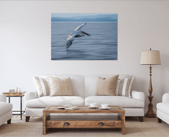 Bird Bank