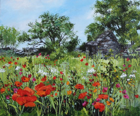 Old barn and wild poppies