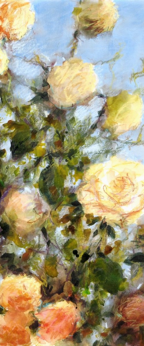 Yellow roses - flowers in a garden by Fabienne Monestier