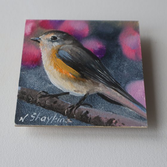 Birds in Golden Frames