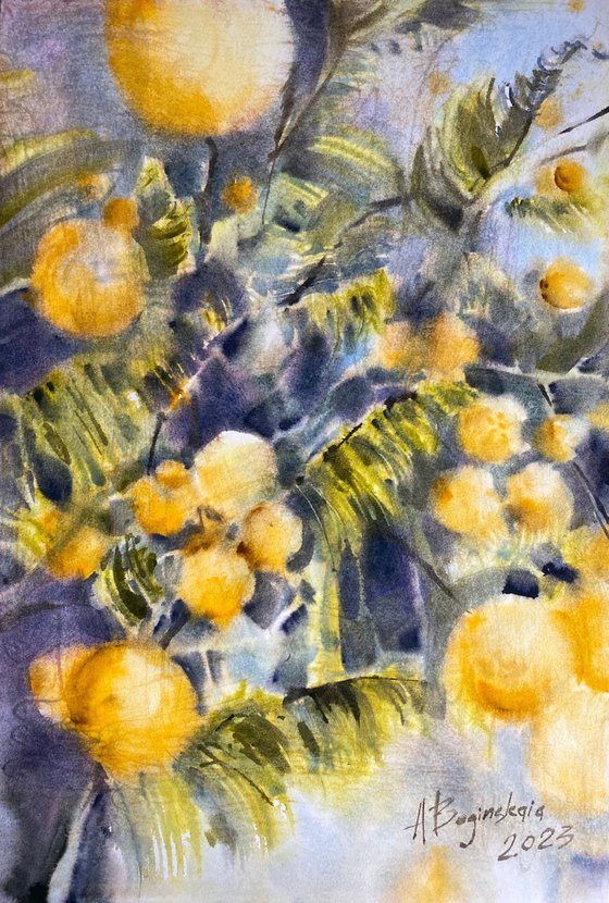mimosa 3 - original watercolor