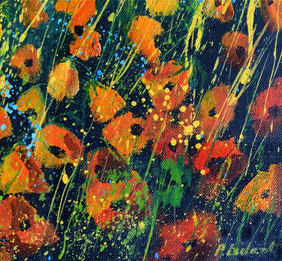Poppies - 4523
