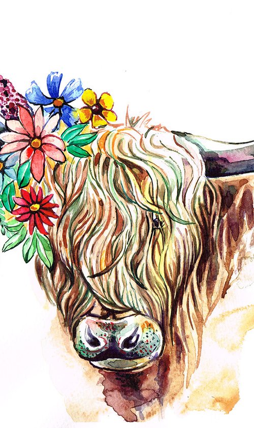 Highland Moo Cow in Spring by Diana Aleksanian