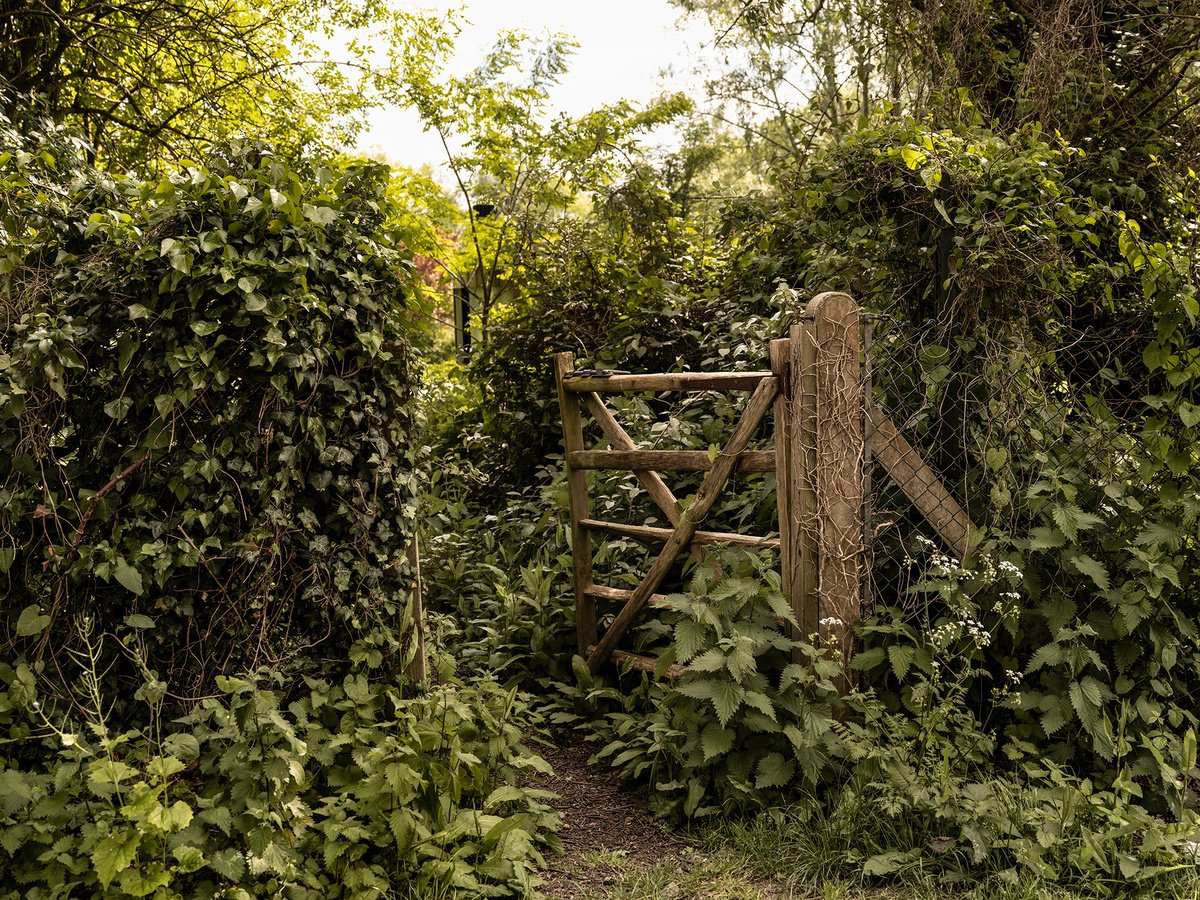 Photorealistic Photograph , The End Of Love Lane By Adam Regan, 24 X 18, Artwork For Sale On Artfinder
