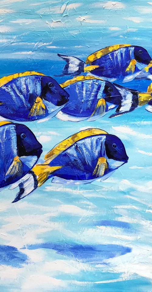 Blue Tang Fish School by Irina Redine