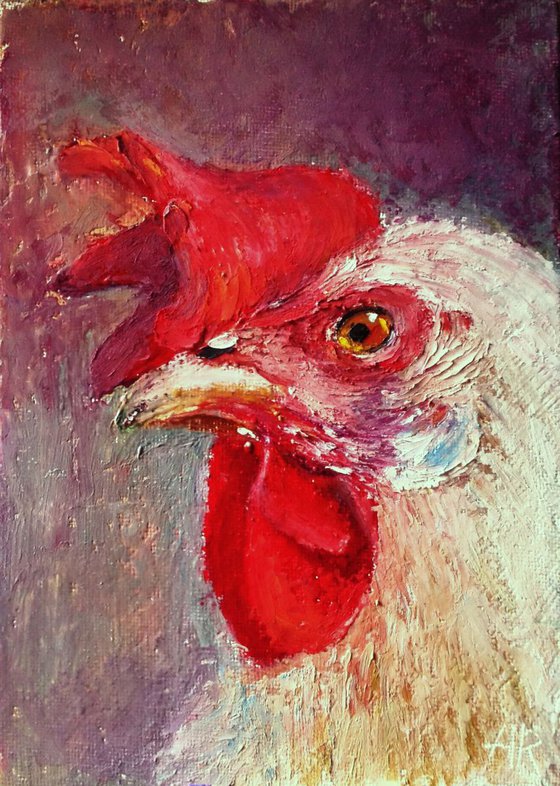 Portrait of a Chicken