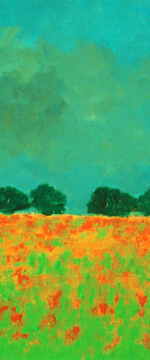 Meadow Storm by David J Edwards