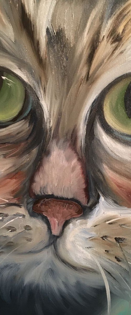 Cat Face by Timea  Valsami