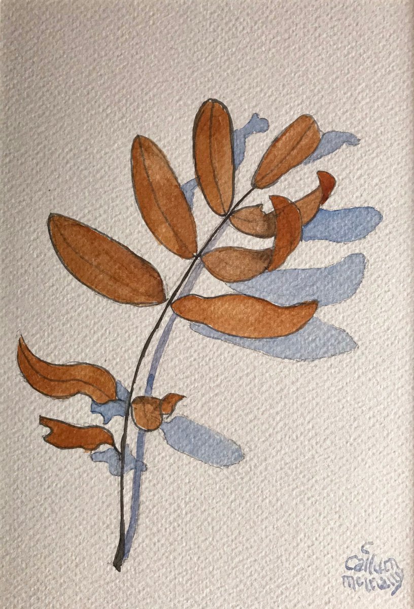 Illustrative Botanical Watercolour By Christine Callum Mcinally, 10 X 12, Rowan Leaf, Original Artwork