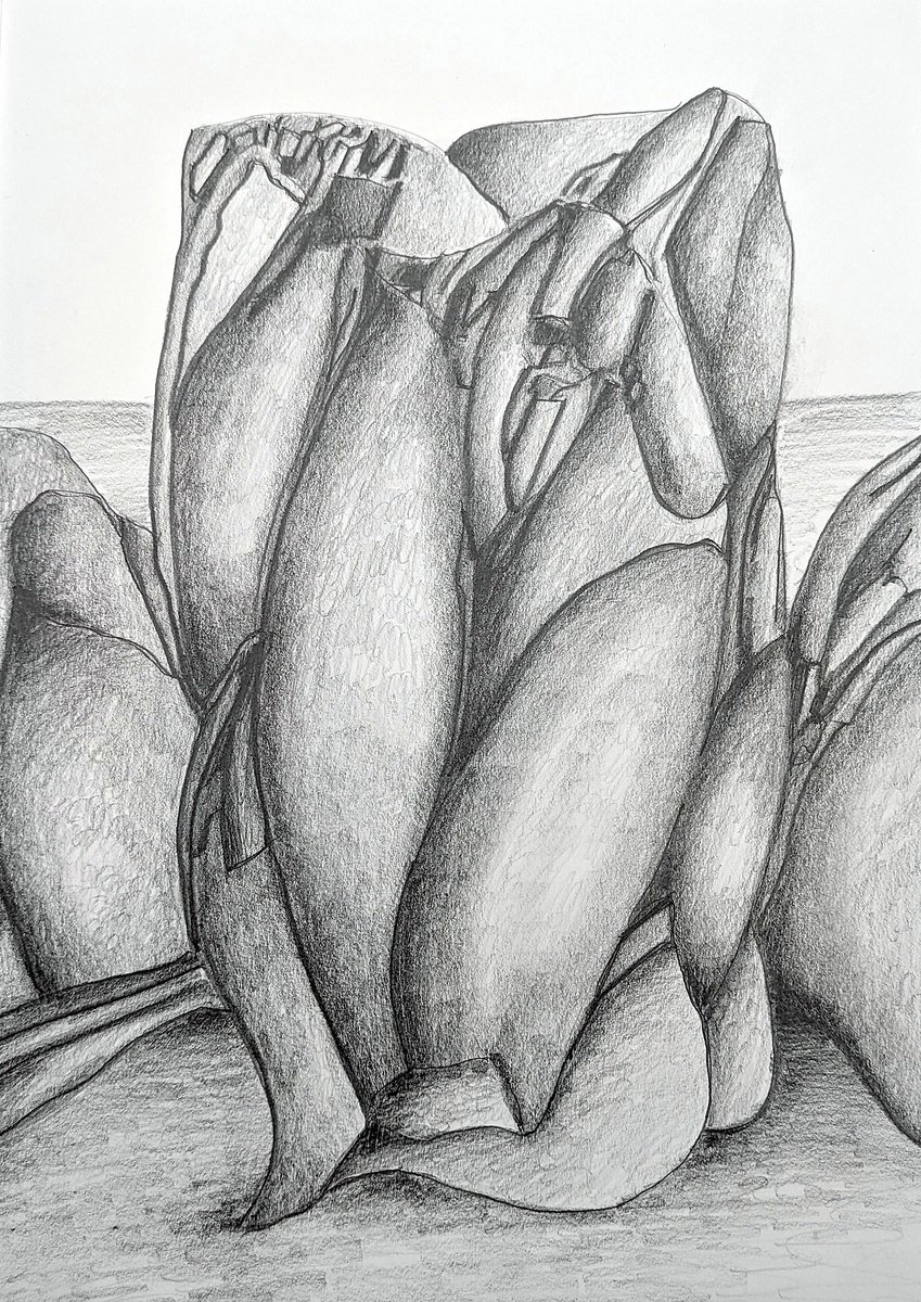 Organic Abstract Pencil Drawing By Massimo Castronuovo, 10 X 14", Growth, Original Artwork