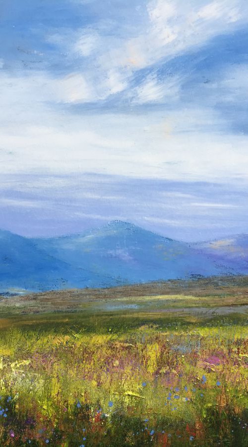 Big Skies on Dartmoor by Laure Bury