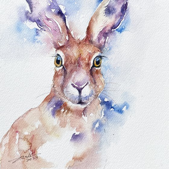 Spring Hare_Tullio