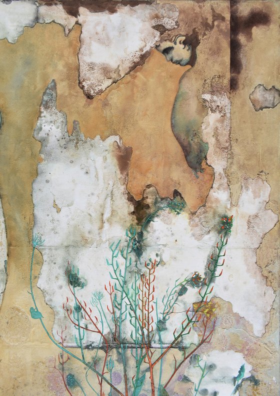 Il Muro