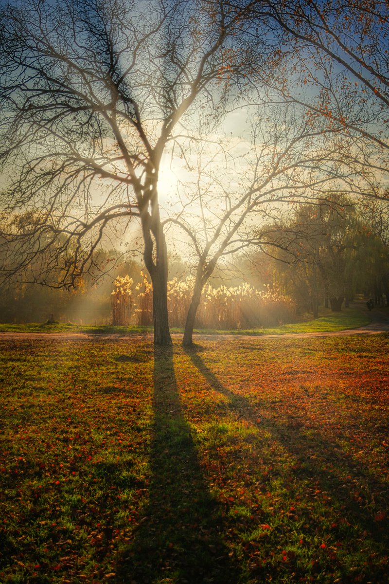 Autumn light by Vlad Durniev