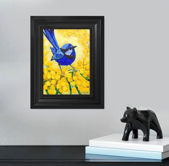 Splendid Fairy Wren and Golden Wattle – framed original painting