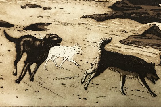 Dogs on a Beach