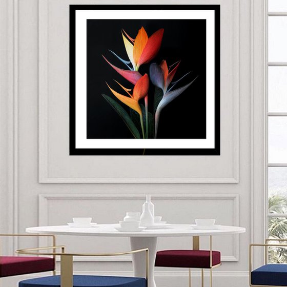 Birds Of Paradise 3
