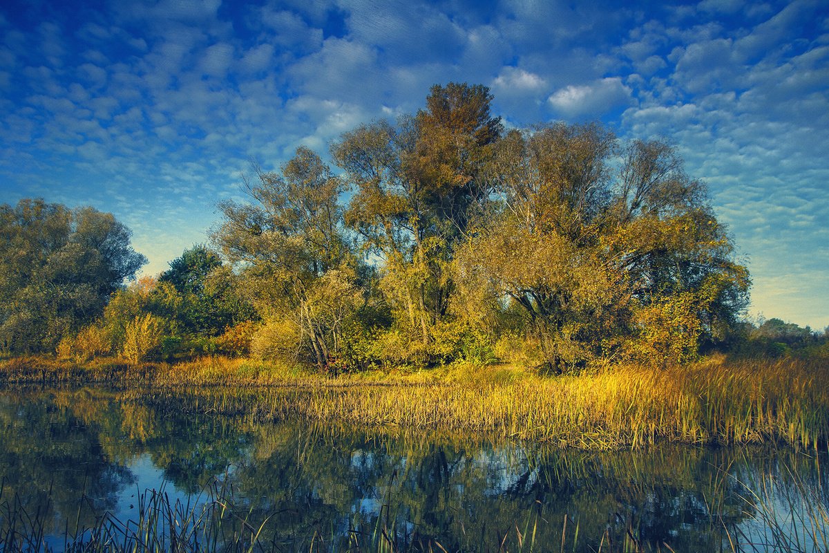 Impressionistic Landscape Photograph By Valerix, 24 X 16", Last Summer Evening., Original Artwork