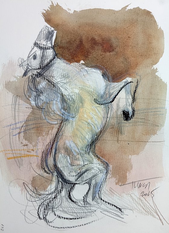 Jumping Stallion (study)