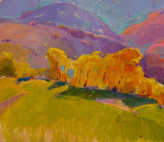 Sunny Mountains