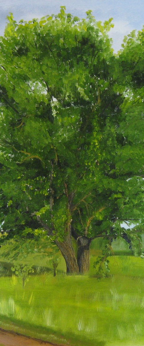 The Oak by Alexandra Tomorskaya/Caramel Art Gallery