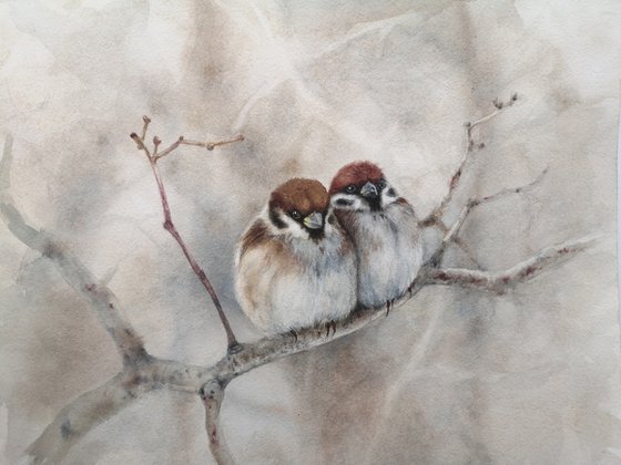 Warm Together - Pair of Sparrows - sparrow  bird  watercolor sparrows