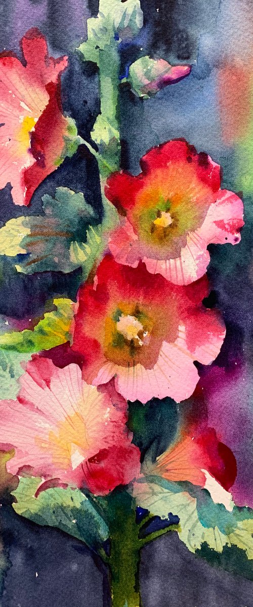 Original Watercolor Painting Flowers of Mallow of Malveae beautiful flower by Samira Yanushkova