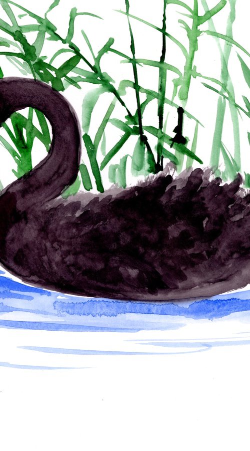 Black Swan by Suren Nersisyan