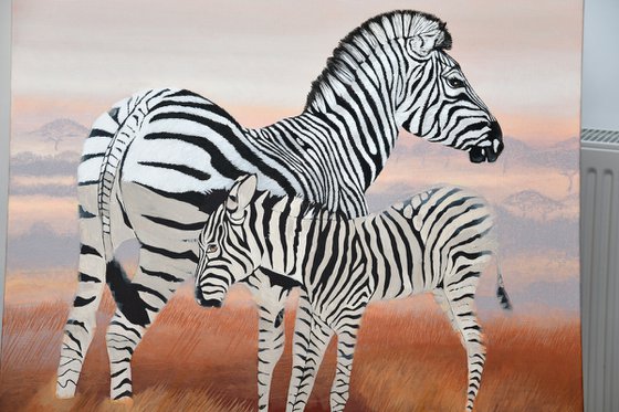 Zebra and Colt