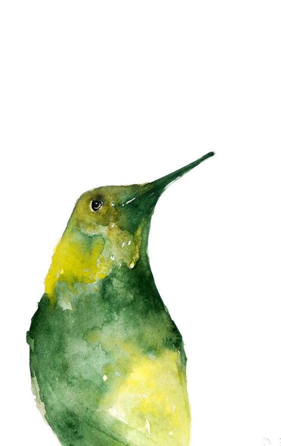 Bird