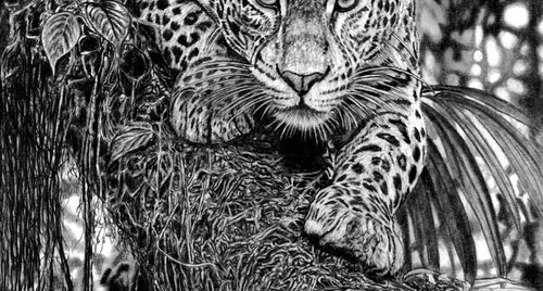 Artwork by Paul Stowe
