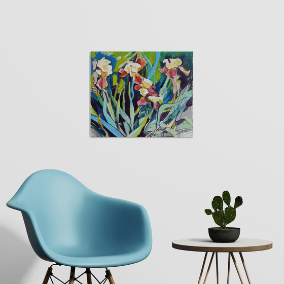 Irises, evening time