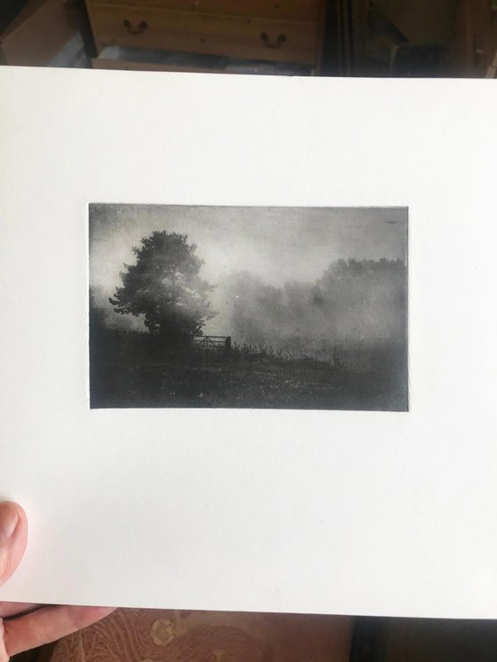 Misty Meadow
