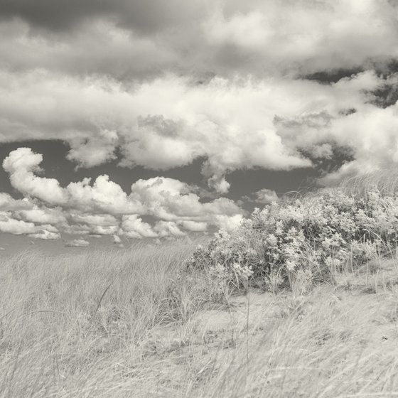 Dunes and Clouds - 18 x 12"