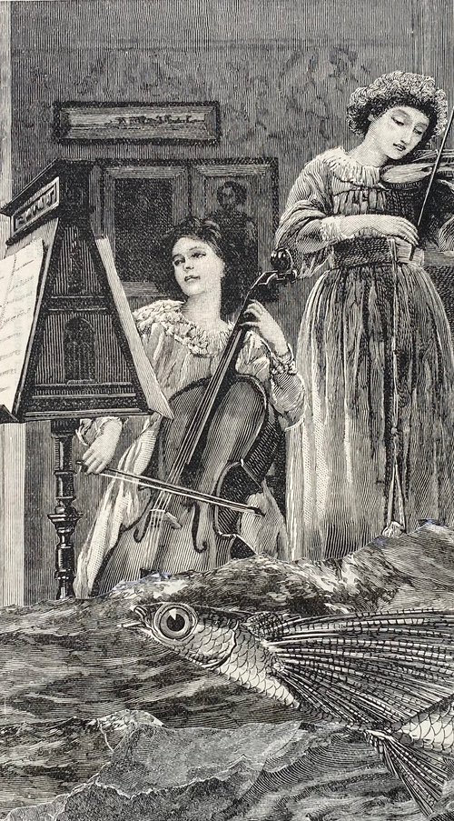 Music with cello and violin by Tudor Evans