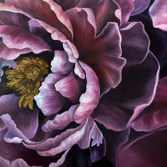 Peony Bloom