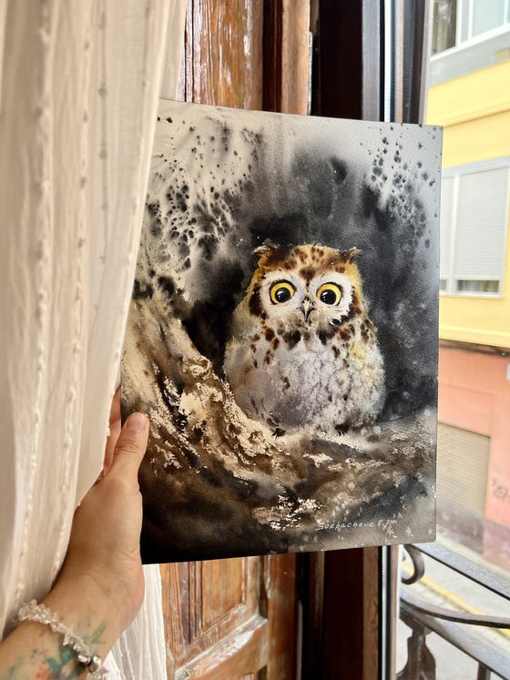 Owl in a hollow #2