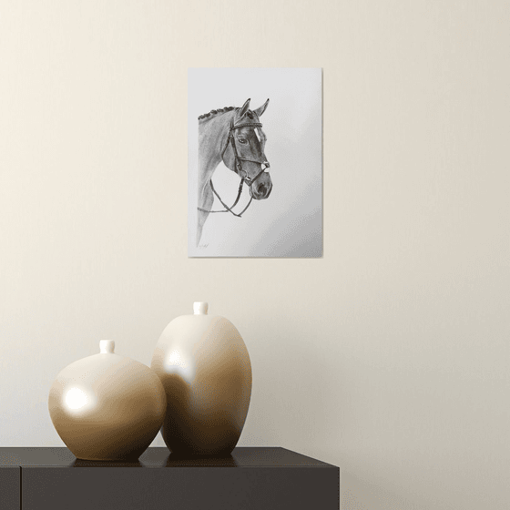 Horse drawing