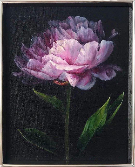 Original oil painting with peony 20*25 cm