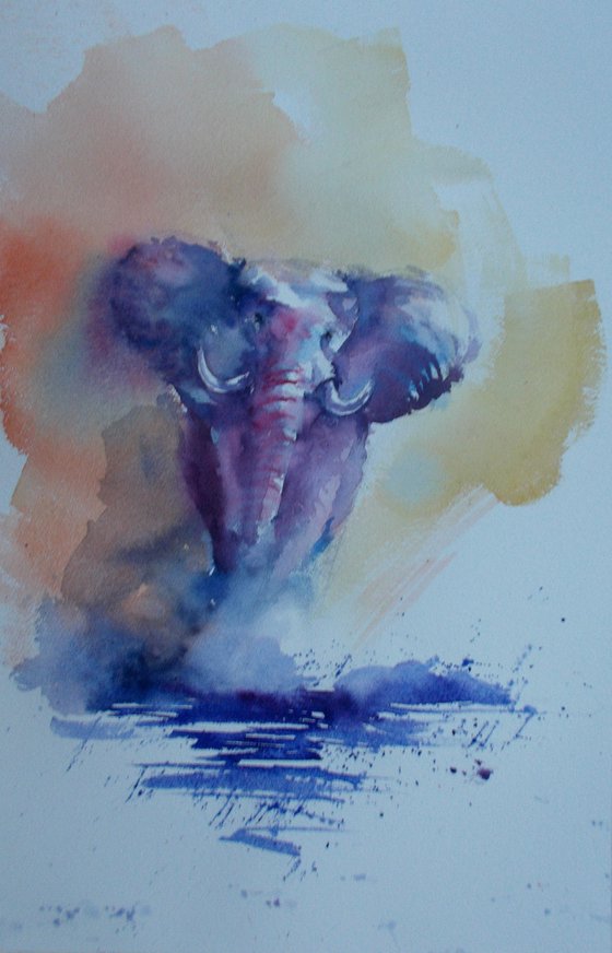 elephant 2