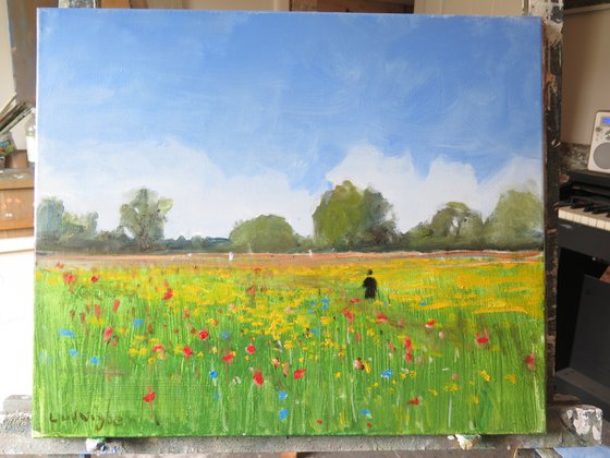 Buttercup Meadow