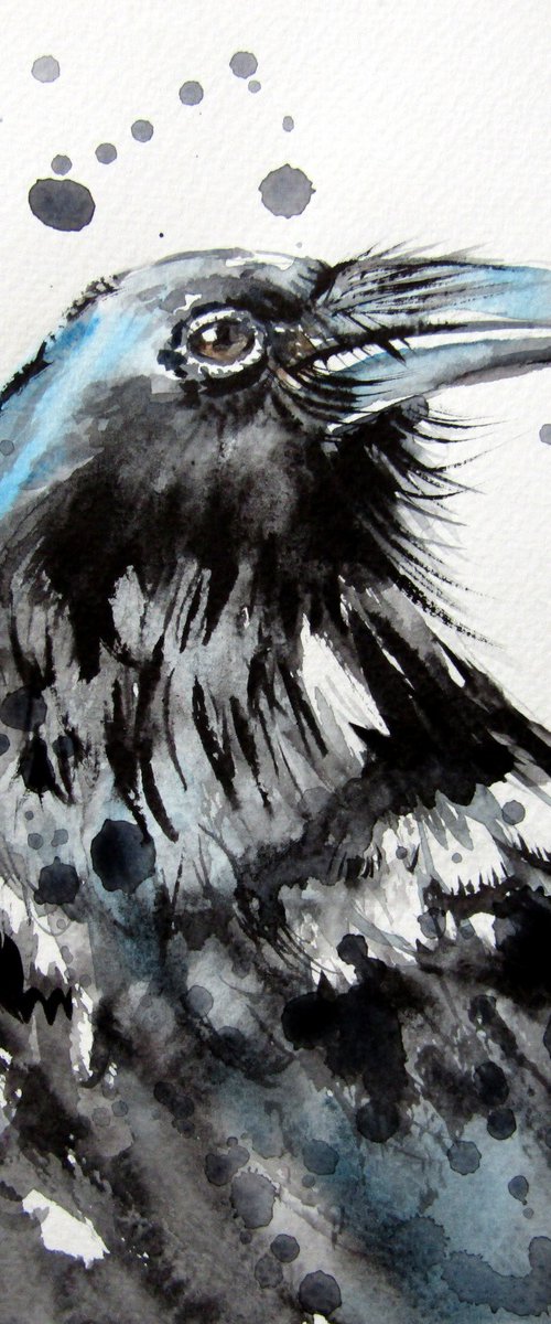 Crow V by Kovács Anna Brigitta