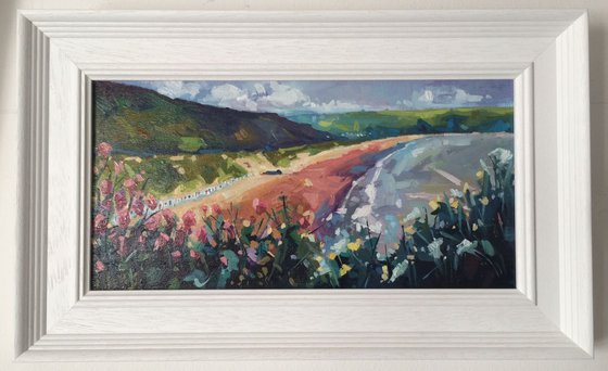 Wildflowers and Beach Huts, Woolacombe Bay.